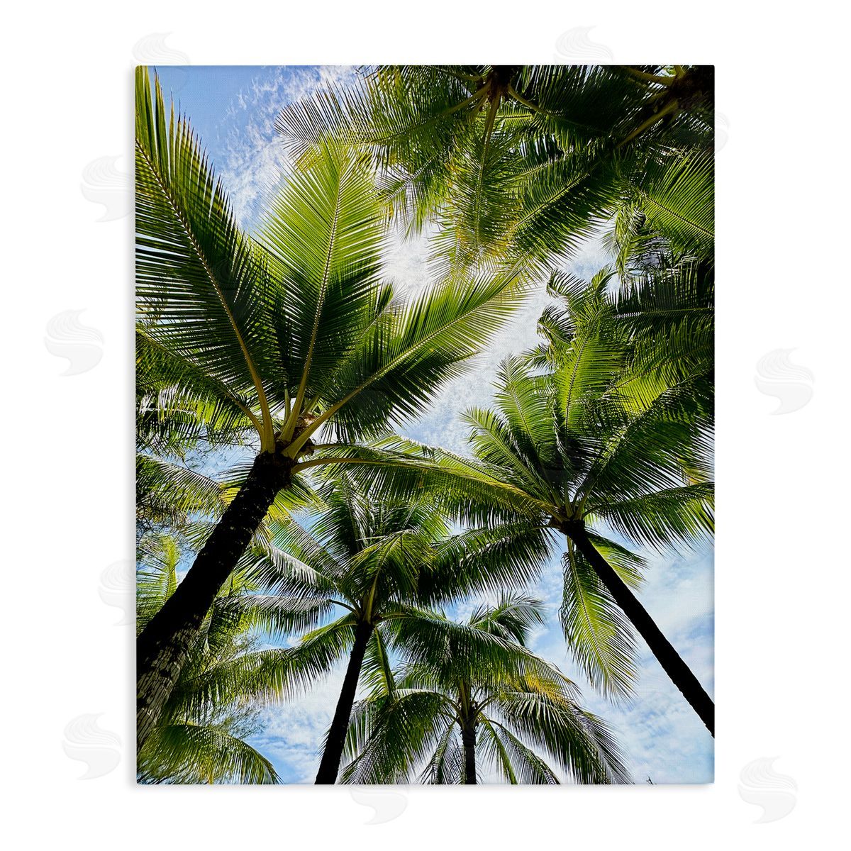 Kali Wilson Overhead Palm Trees Canvas Wall Art Print