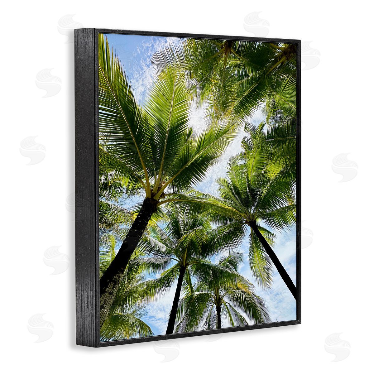 Kali Wilson Overhead Palm Trees Black Framed Giclee Wall Art Print
