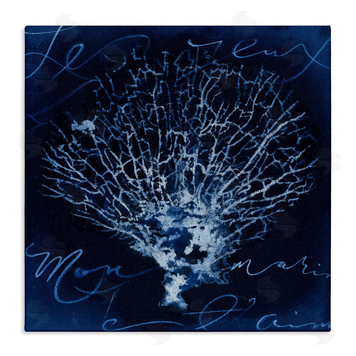 Vintage Marine Life Canvas Wall Art, Home Decor by Liz Jardine