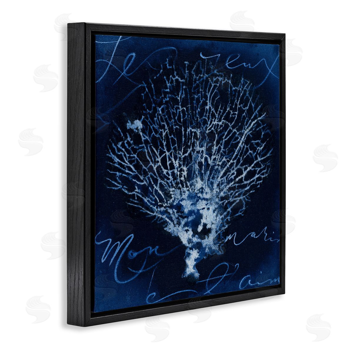 Vintage Marine Life Black Floating Frame Canvas Wall Art, Home Decor by Liz Jardine