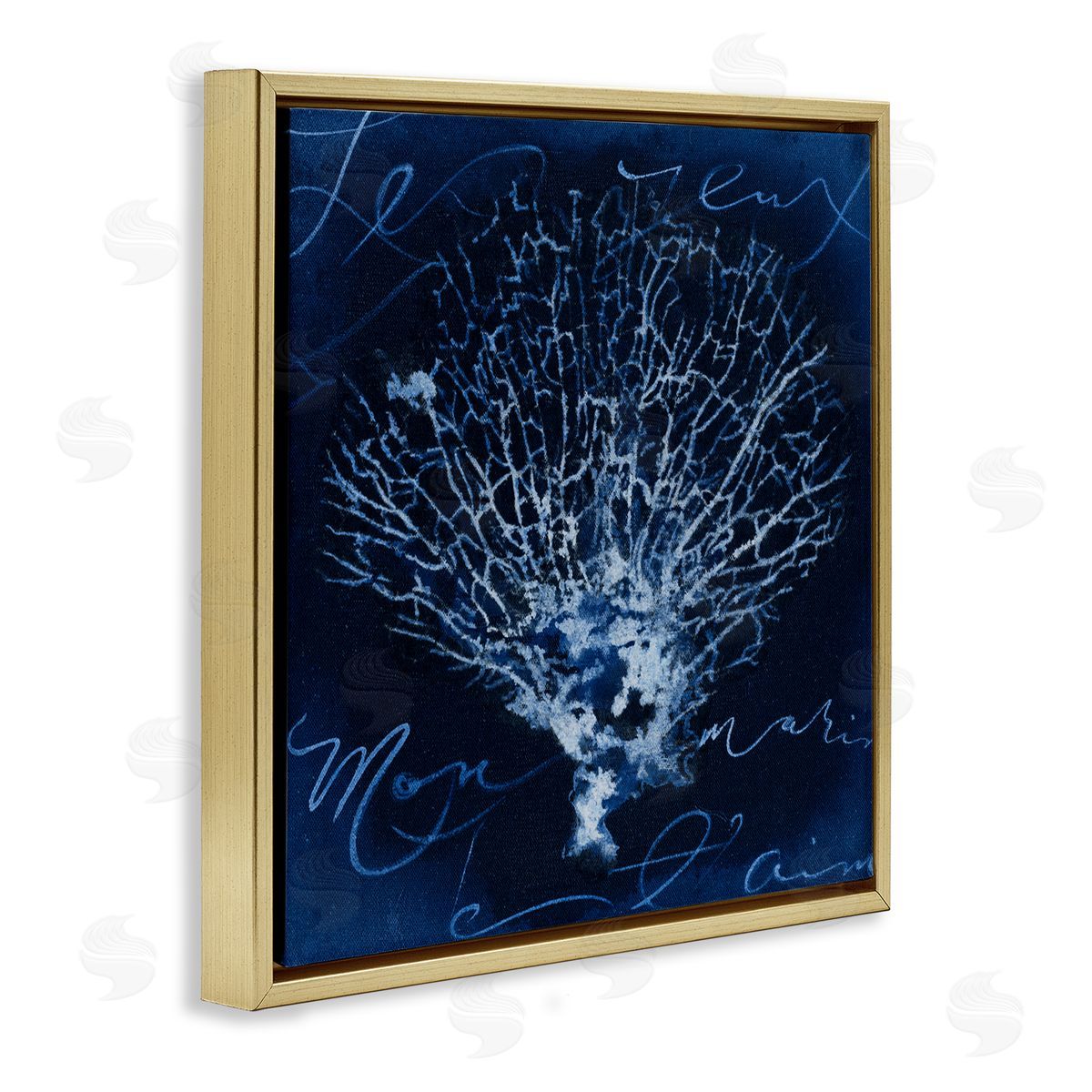 Vintage Marine Life Gold Floating Frame Canvas Wall Art, Home Decor by Liz Jardine