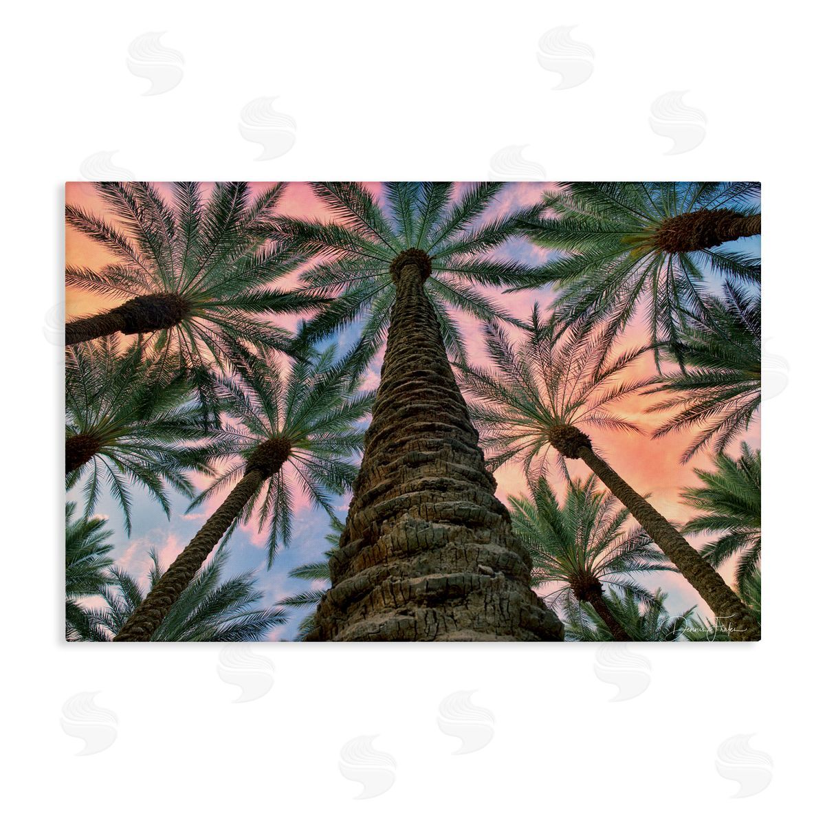Dennis Frates Tall Overhead Palms Canvas Wall Art Print