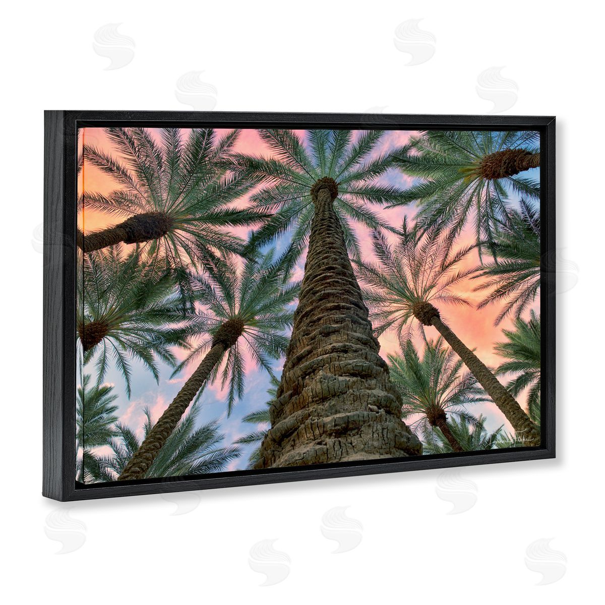 Dennis Frates Tall Overhead Palms Black Floating Frame Canvas Wall Art Print