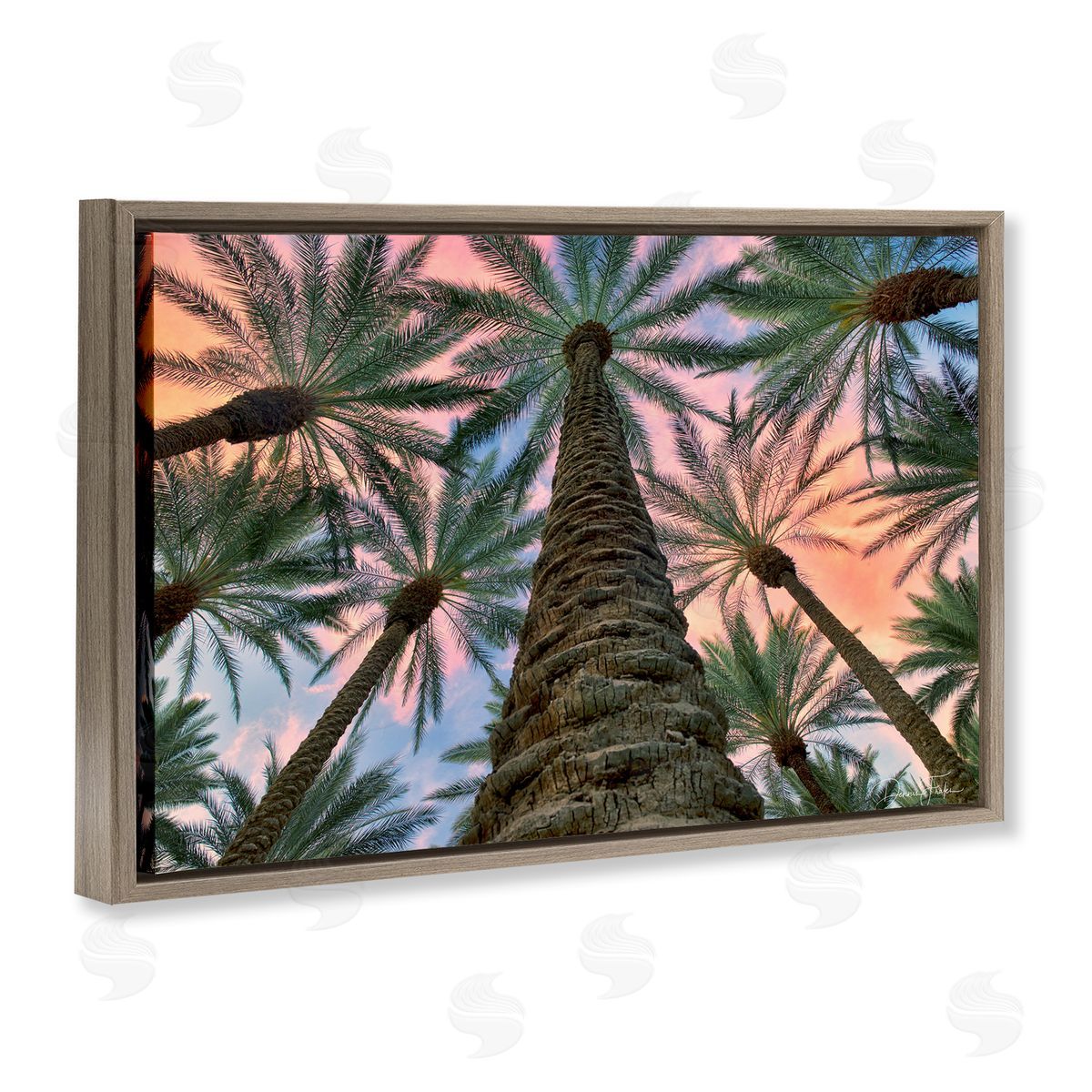 Dennis Frates Tall Overhead Palms Brown Floating Frame Canvas Wall Art Print