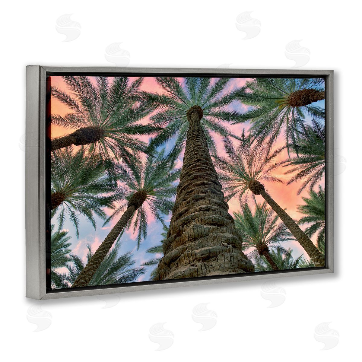 Dennis Frates Tall Overhead Palms Gray Floating Frame Canvas Wall Art Print