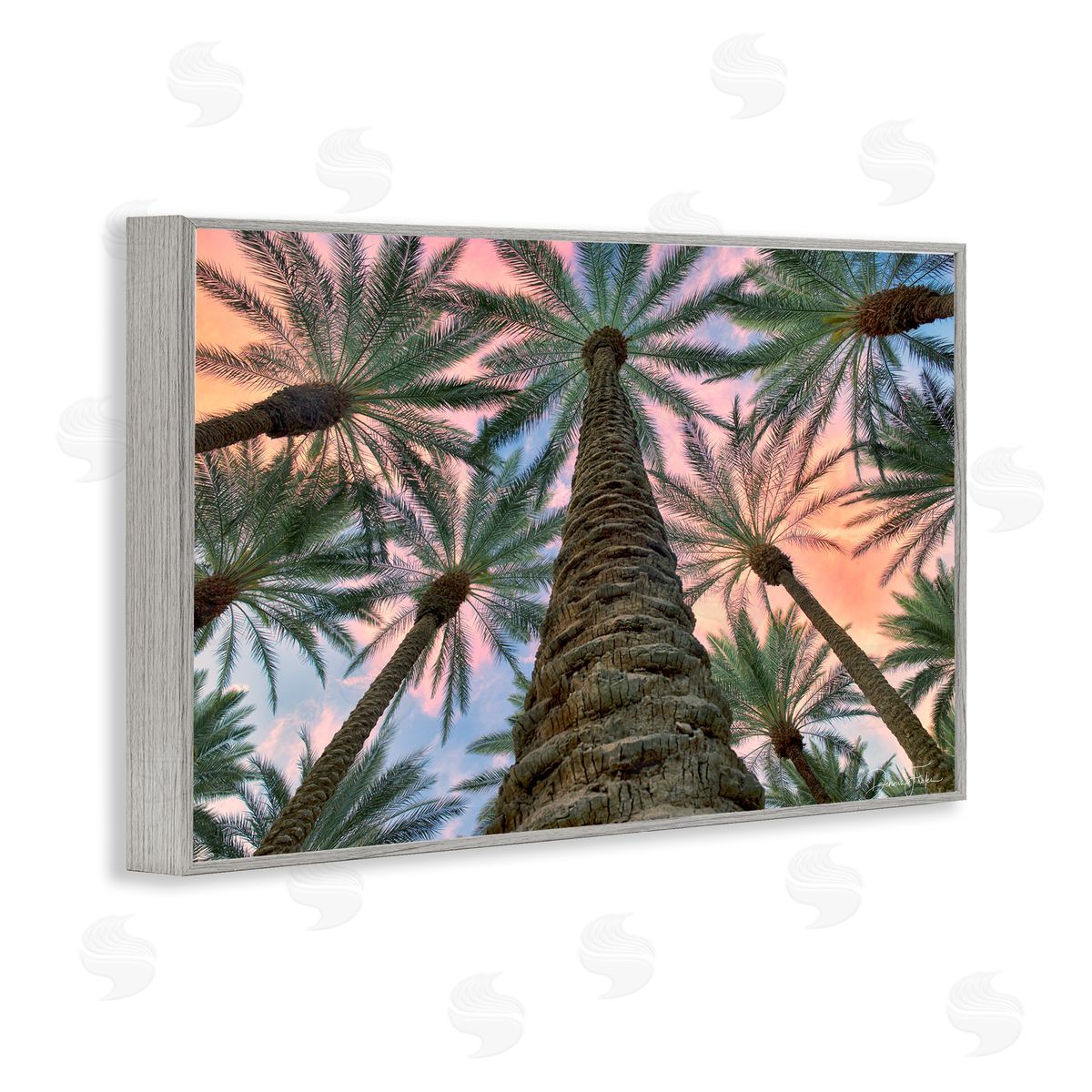 Dennis Frates Tall Overhead Palms Gray Framed Giclee Wall Art Print