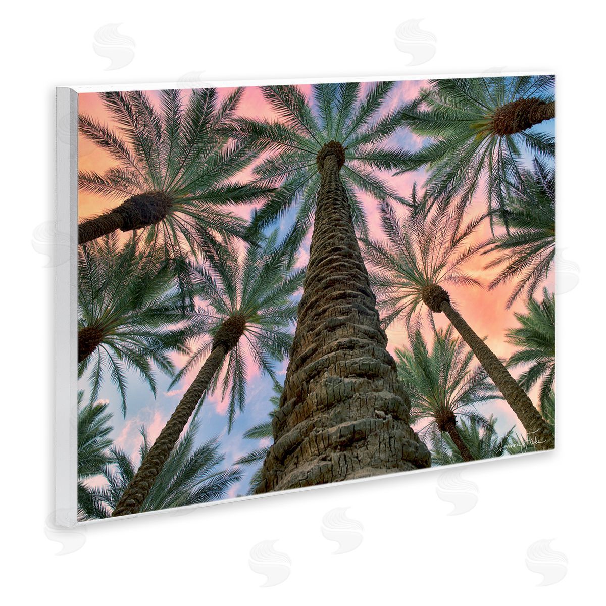 Dennis Frates Tall Overhead Palms Wooden Wall Plaque Art Print