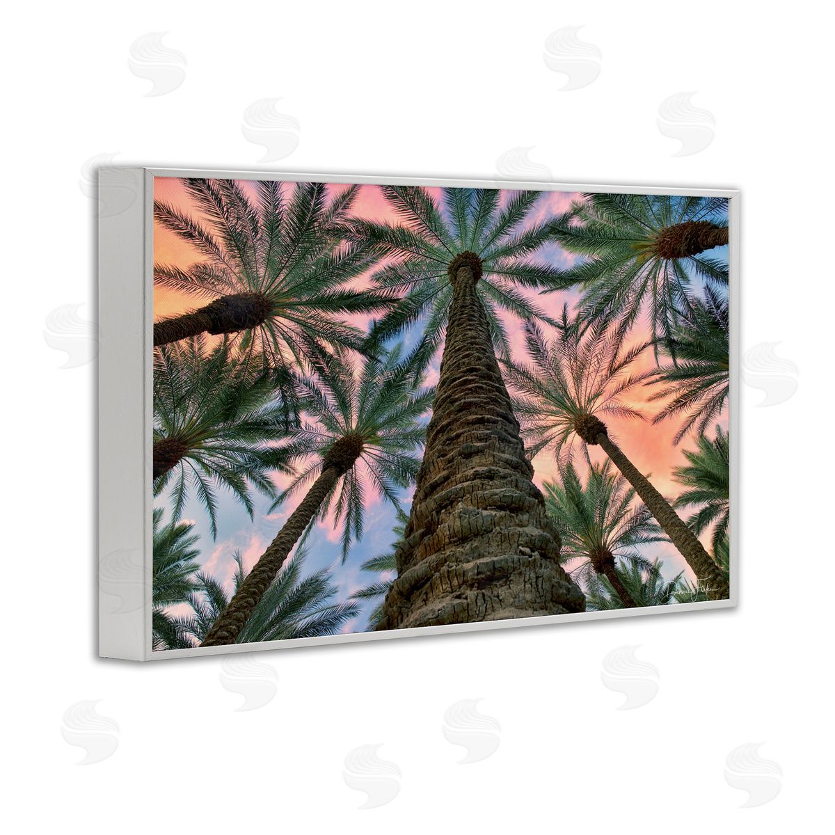 Dennis Frates Tall Overhead Palms White Framed Giclee Wall Art Print