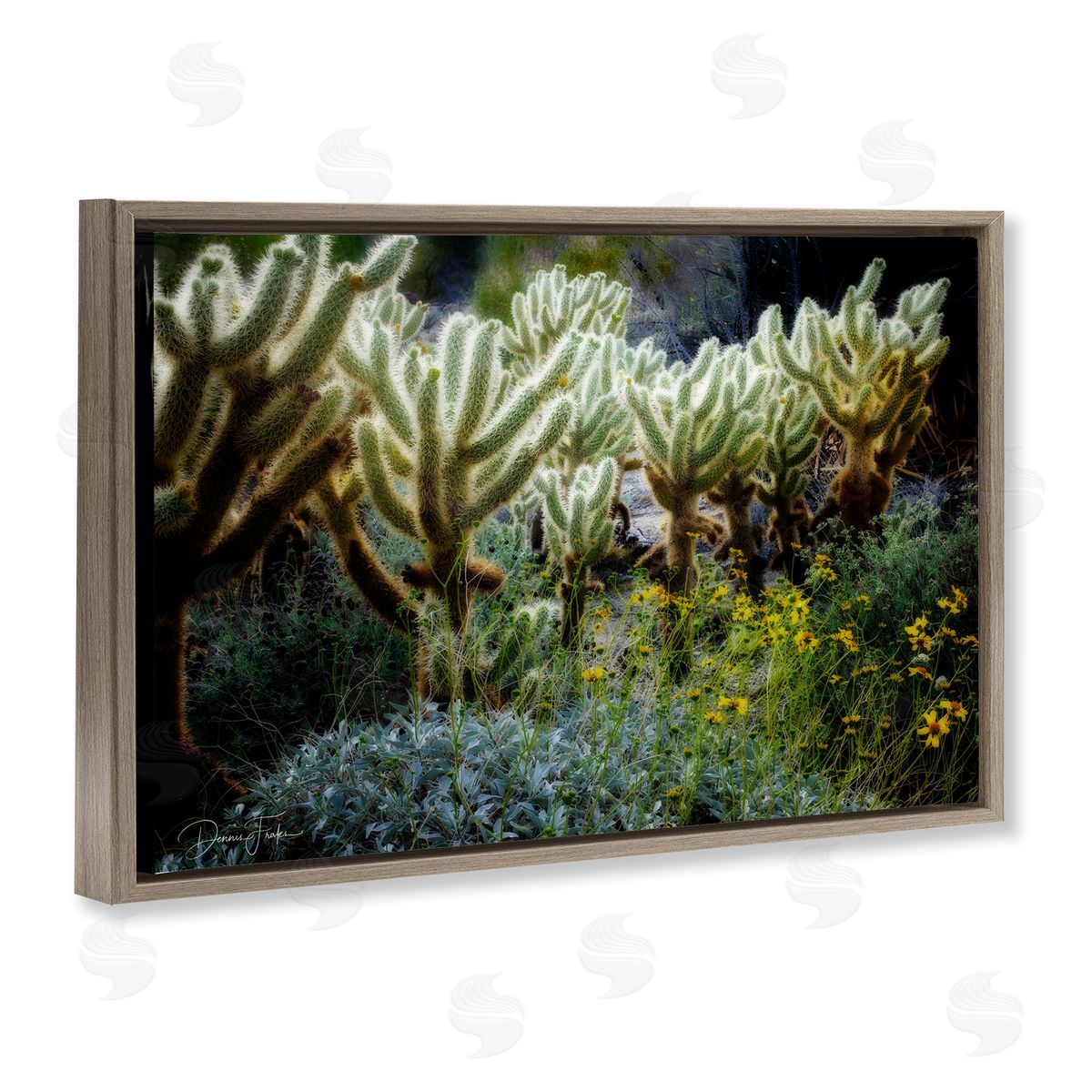 Desert Cactus Forest Brown Floating Frame Canvas Wall Art, Home Decor by Dennis Frates