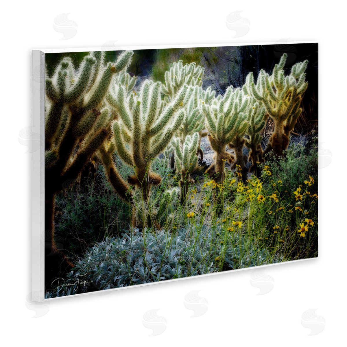 Desert Cactus Forest Wood Plaque Wall Art, Home Decor by Dennis Frates