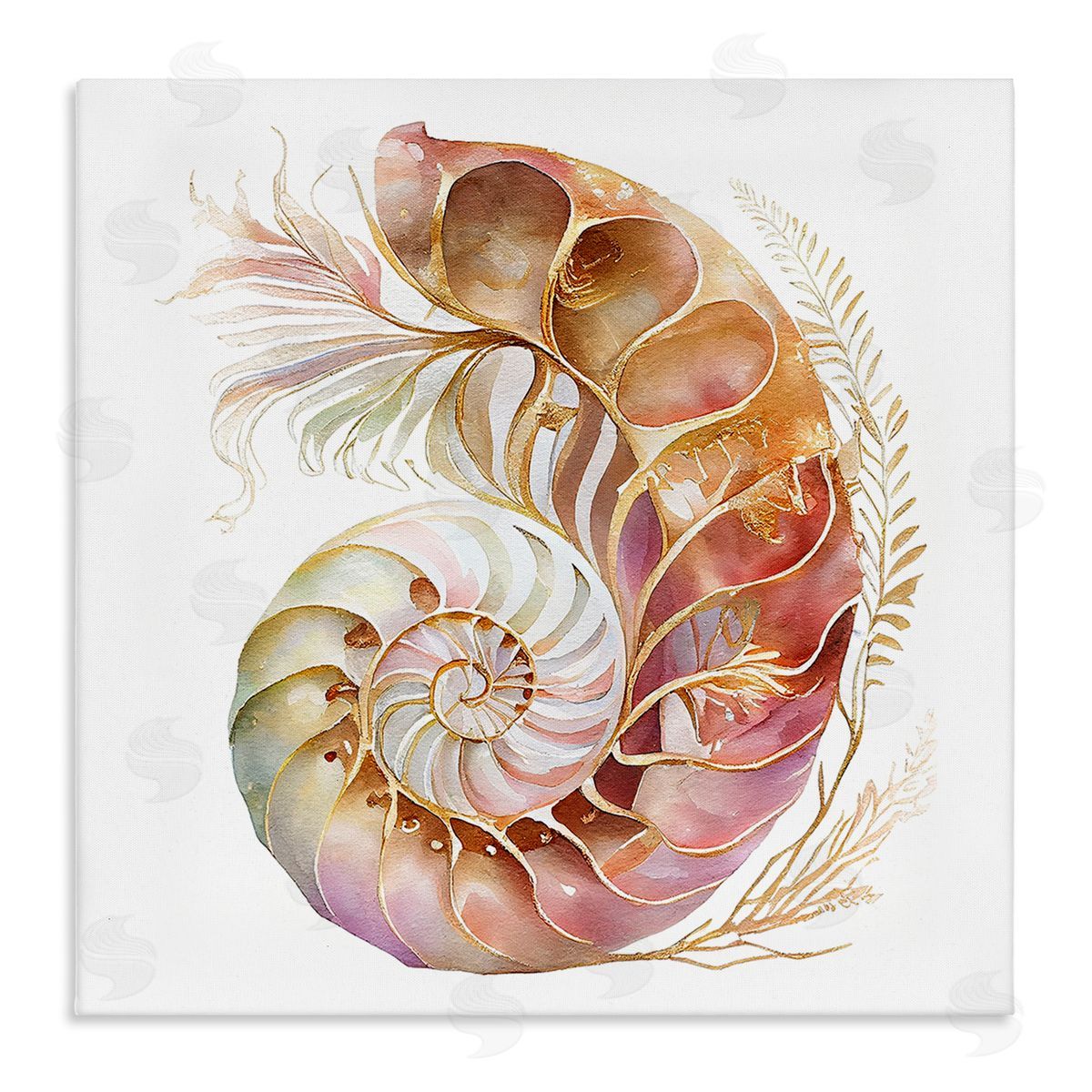 Birch & Ink Curled Nautilus Pattern Canvas Wall Art Print