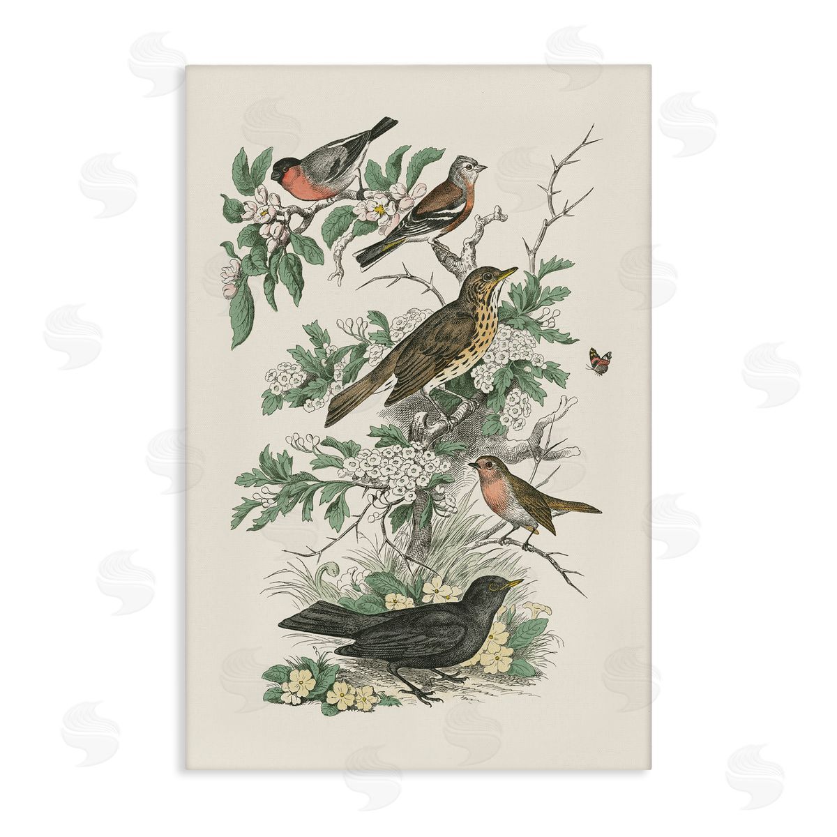 Honeybloom Birds Perched Canvas Wall Art, Home Decor by Wild Apple Portfolio