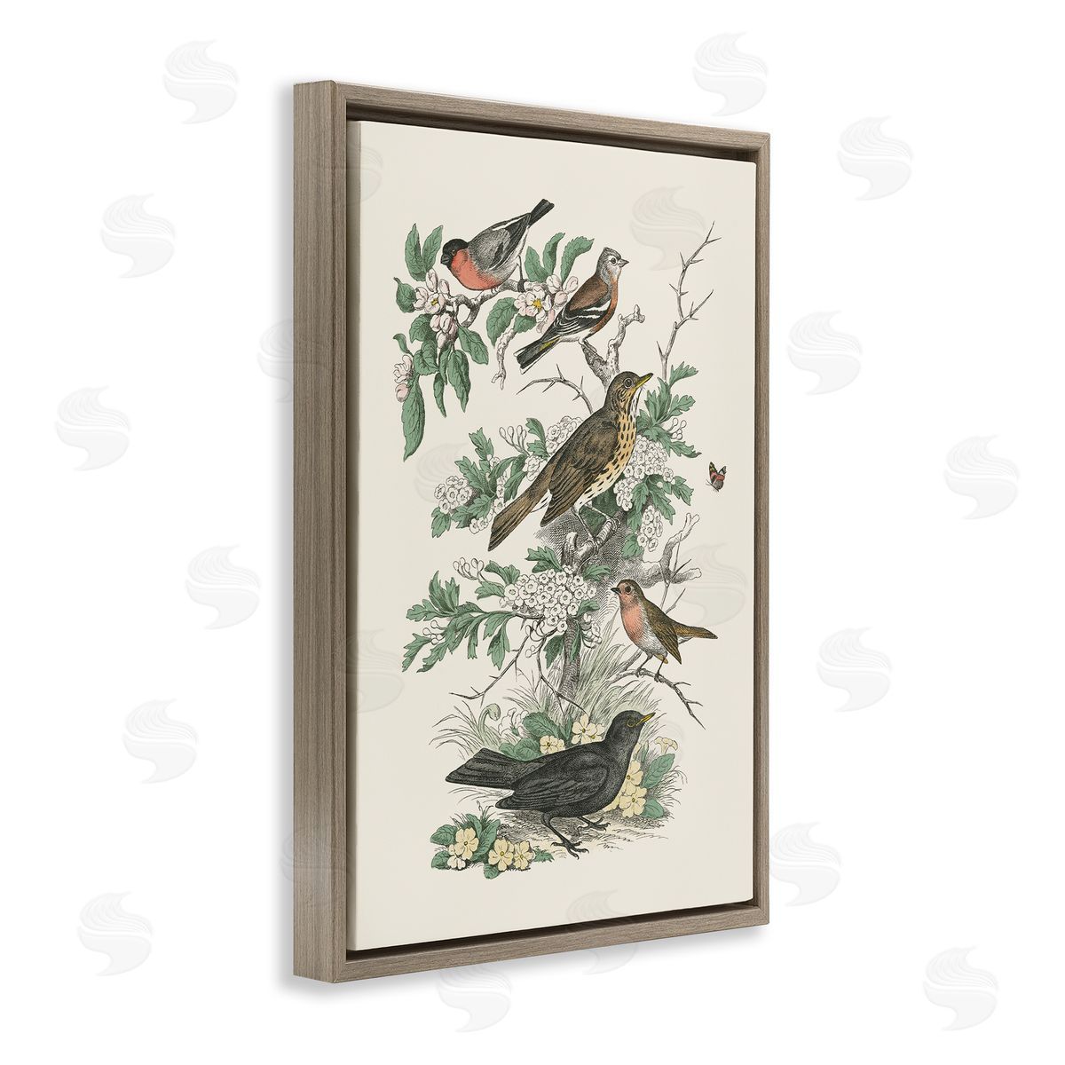 Honeybloom Birds Perched Brown Floating Frame Canvas Wall Art, Home Decor by Wild Apple Portfolio
