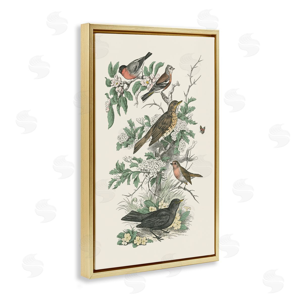 Honeybloom Birds Perched Gold Floating Frame Canvas Wall Art, Home Decor by Wild Apple Portfolio