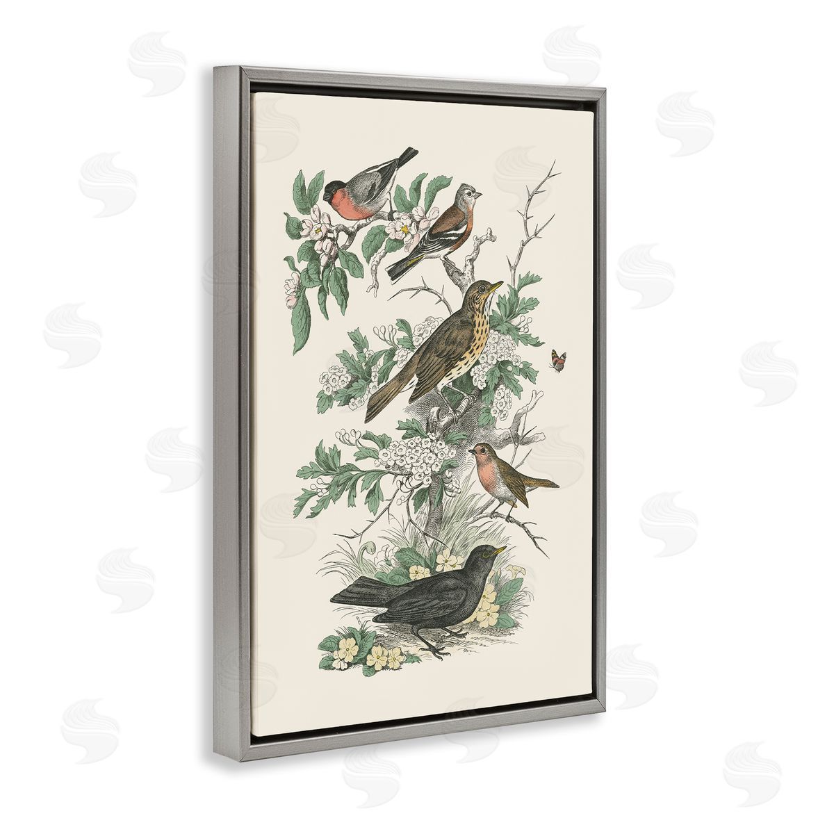 Honeybloom Birds Perched Grey Floating Frame Canvas Wall Art, Home Decor by Wild Apple Portfolio