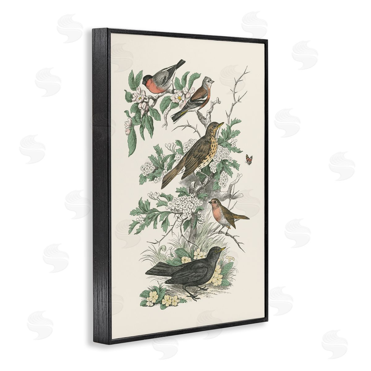 Honeybloom Birds Perched Black Frame Print Wall Art, Home Decor by Wild Apple Portfolio