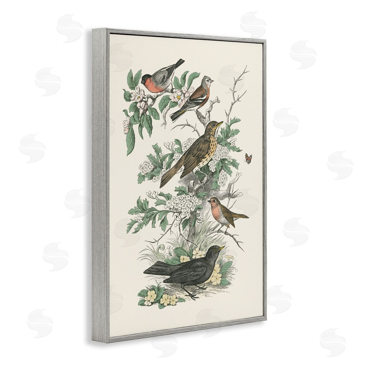 Honeybloom Birds Perched Grey Frame Print Wall Art, Home Decor by Wild Apple Portfolio