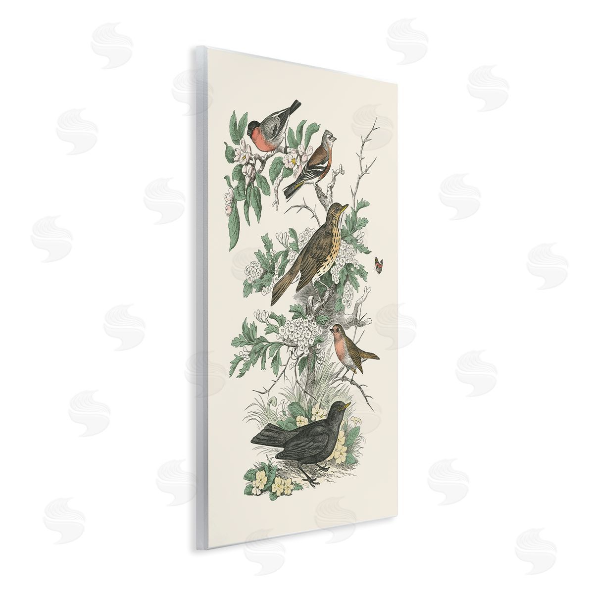 Honeybloom Birds Perched Wood Plaque Wall Art, Home Decor by Wild Apple Portfolio