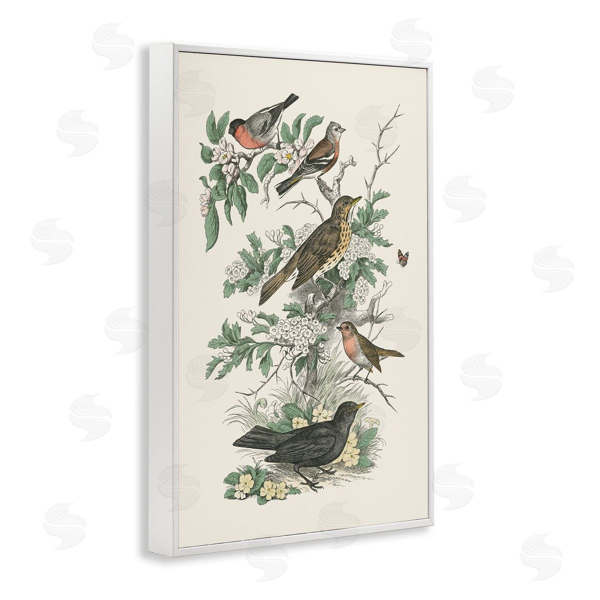 Honeybloom Birds Perched White Frame Print Wall Art, Home Decor by Wild Apple Portfolio