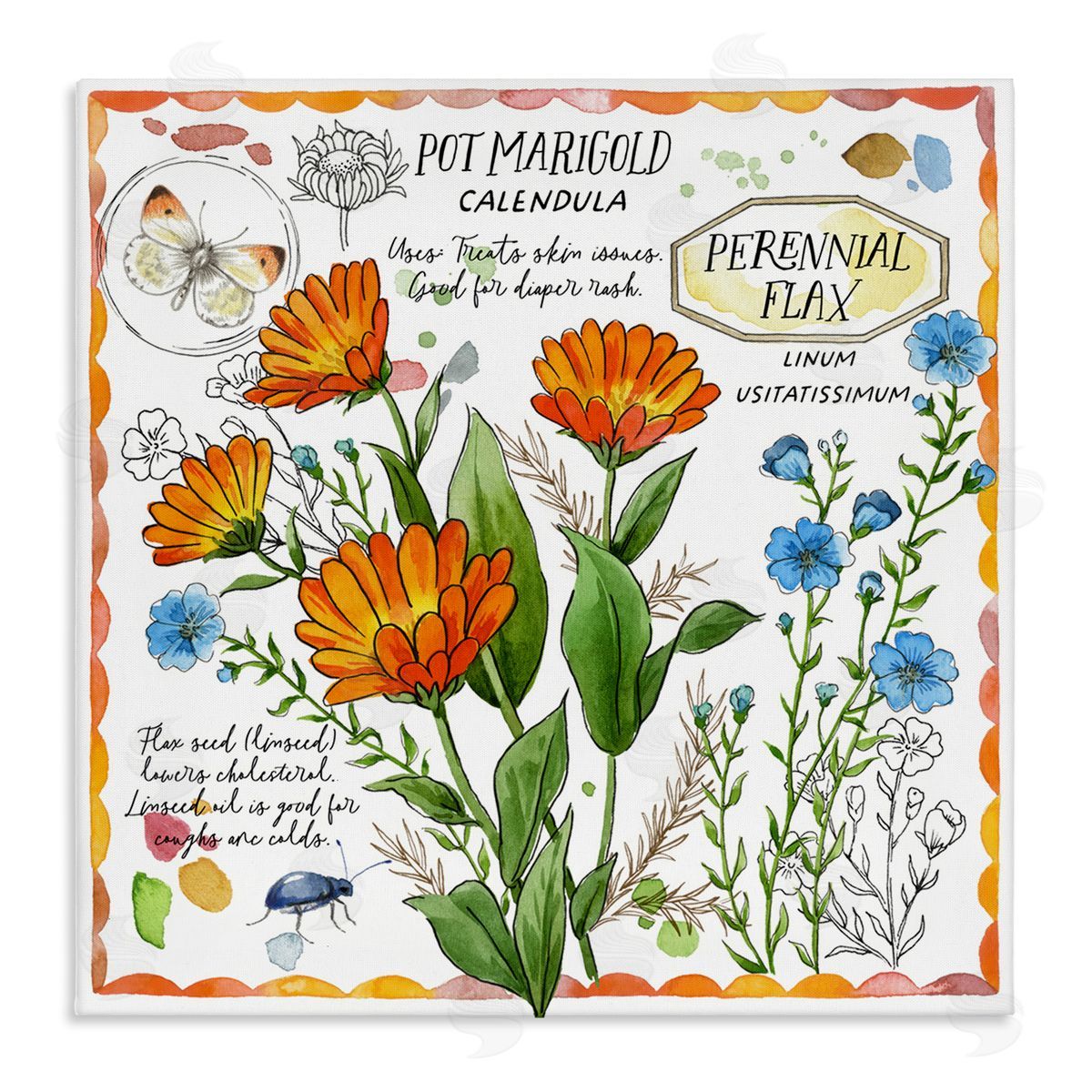 Jane Maday Country Herb Uses Canvas Wall Art Print