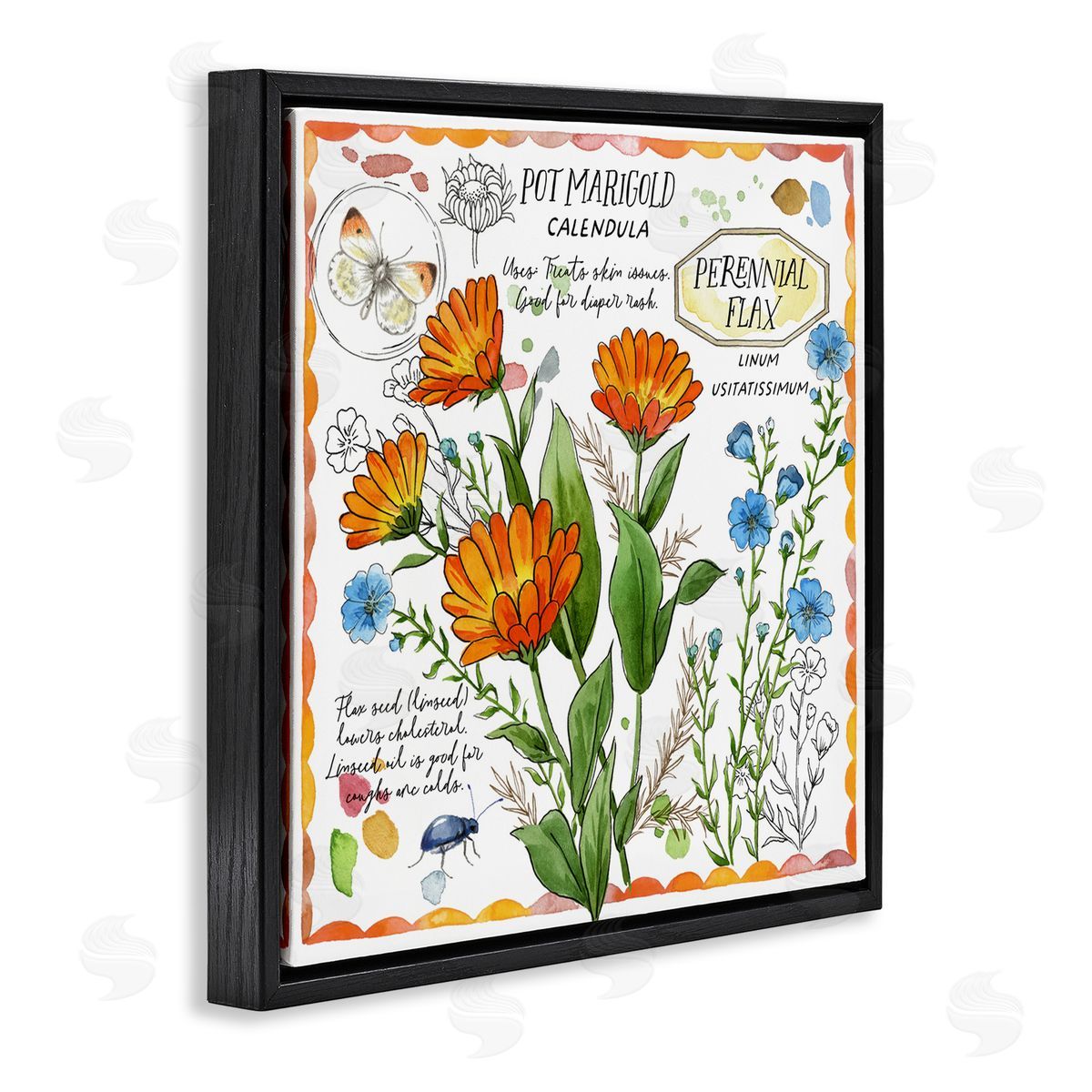 Jane Maday Country Herb Uses Black Floating Frame Canvas Wall Art Print