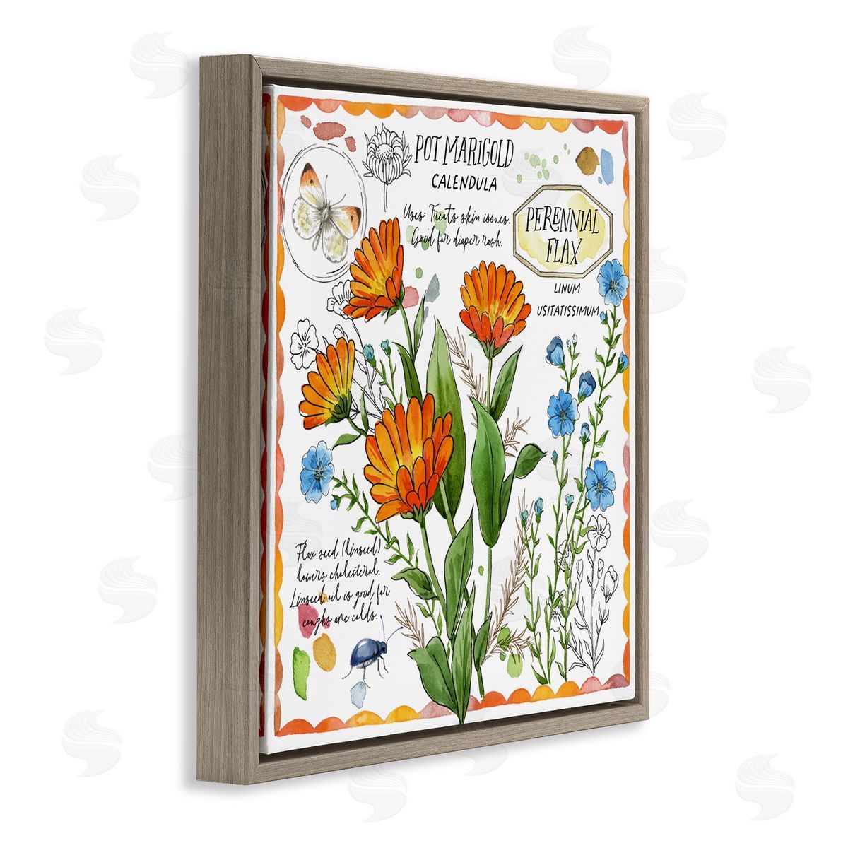 Jane Maday Country Herb Uses Brown Floating Frame Canvas Wall Art Print