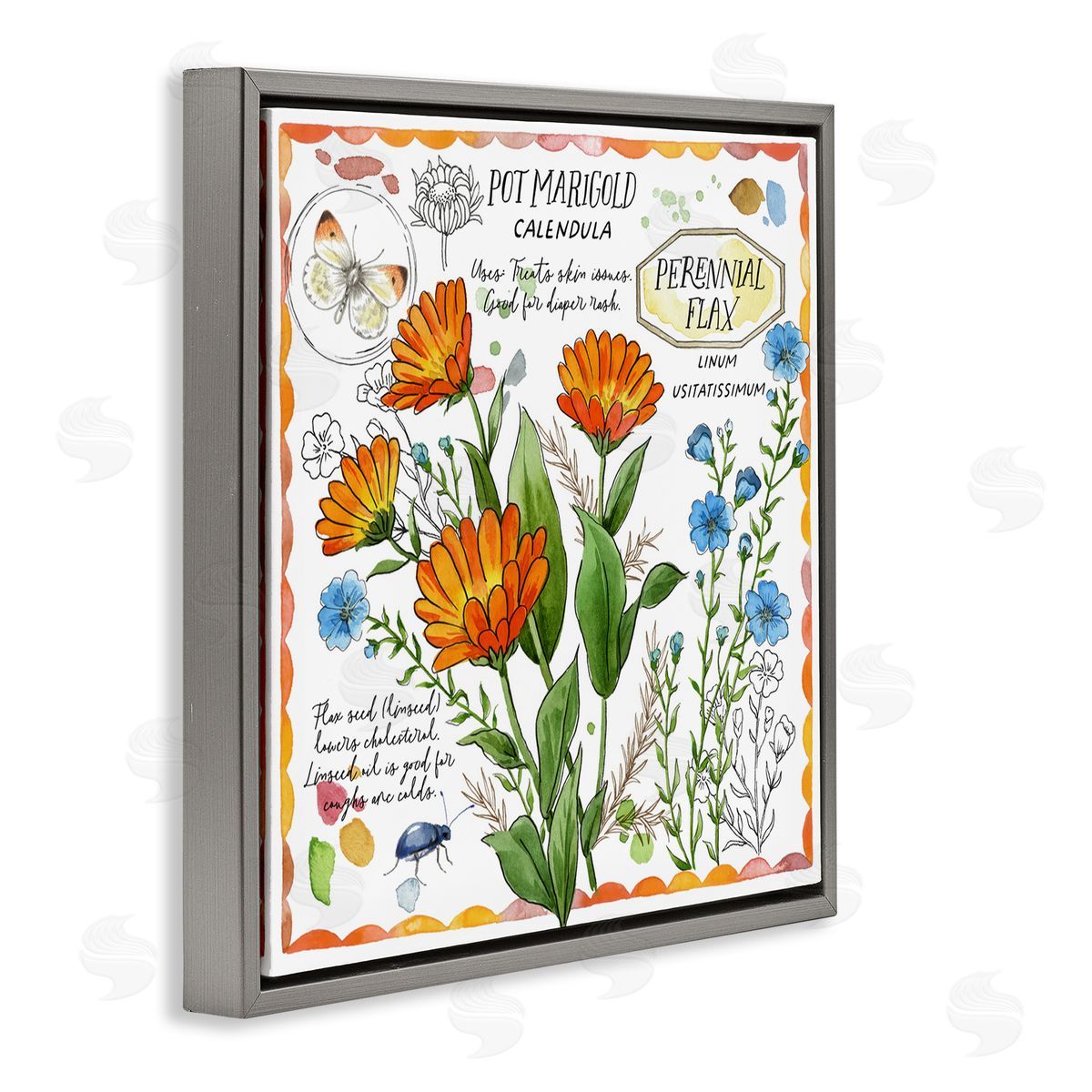 Jane Maday Country Herb Uses Gray Floating Frame Canvas Wall Art Print