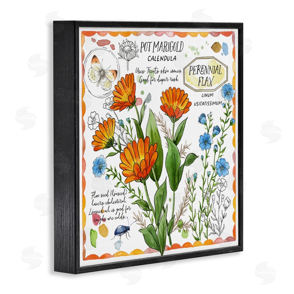 Jane Maday Country Herb Uses Black Framed Giclee Wall Art Print