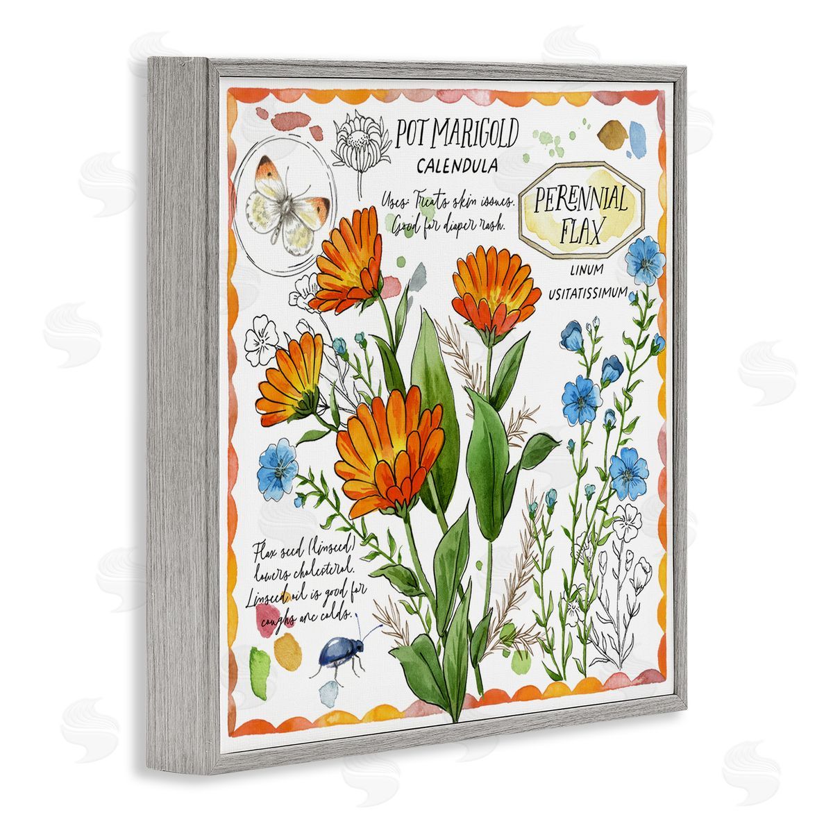 Jane Maday Country Herb Uses Gray Framed Giclee Wall Art Print