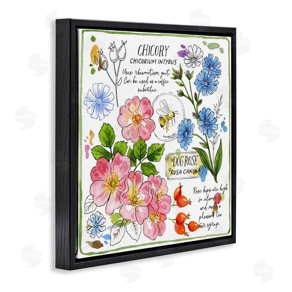 Jane Maday Varied Herbs Benefits Black Floating Frame Canvas Wall Art Print