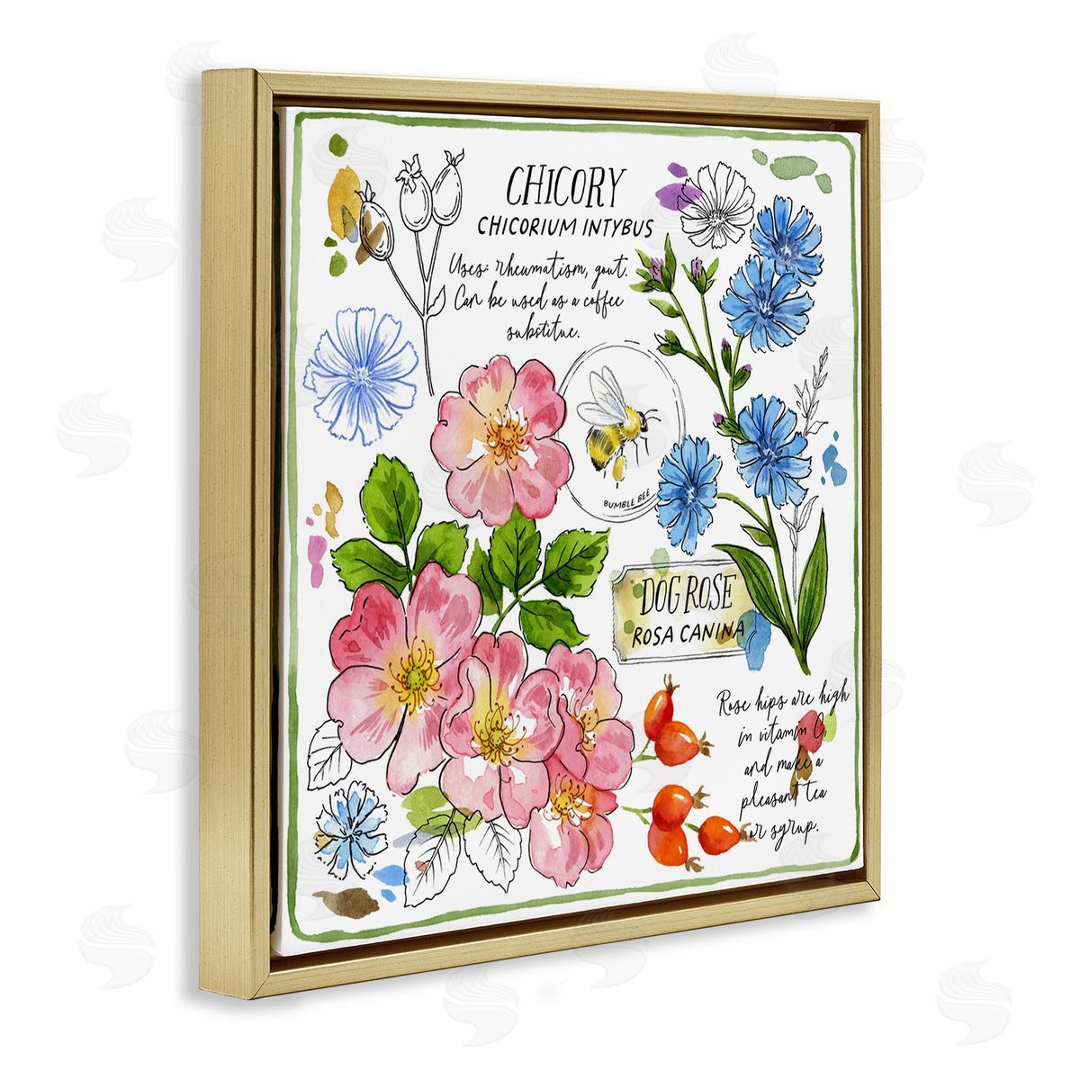 Jane Maday Varied Herbs Benefits Gold Floating Frame Canvas Wall Art Print