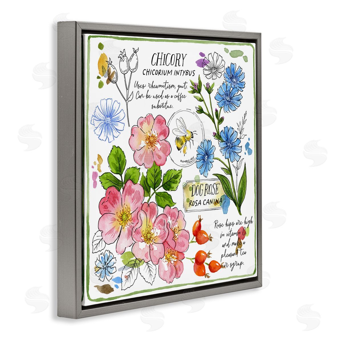 Jane Maday Varied Herbs Benefits Gray Floating Frame Canvas Wall Art Print