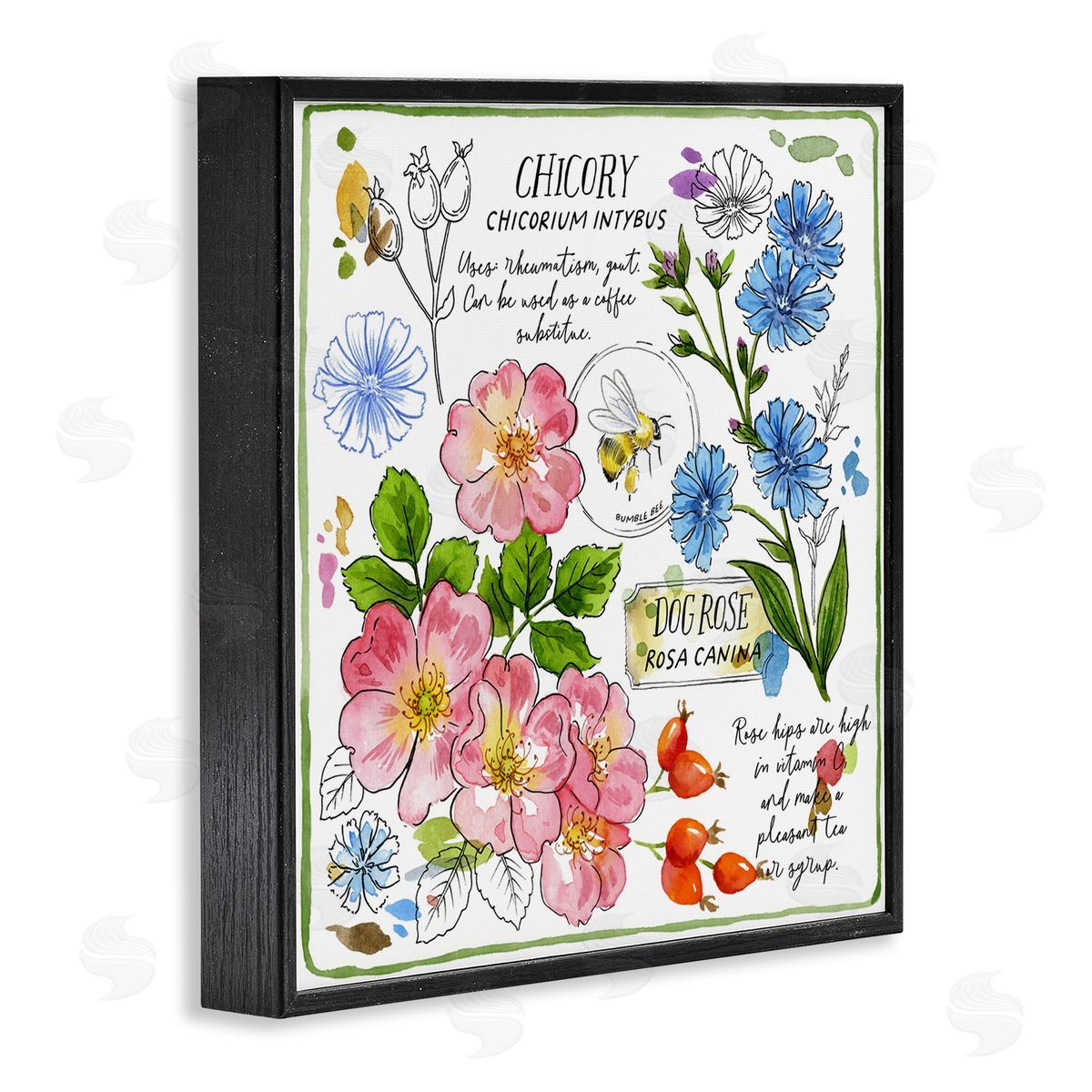 Jane Maday Varied Herbs Benefits Black Framed Giclee Wall Art Print