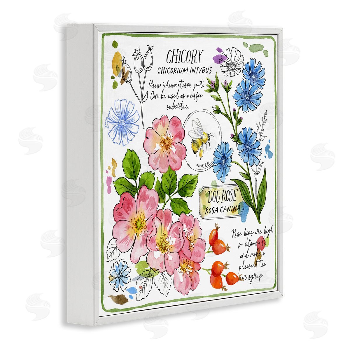 Jane Maday Varied Herbs Benefits White Framed Giclee Wall Art Print