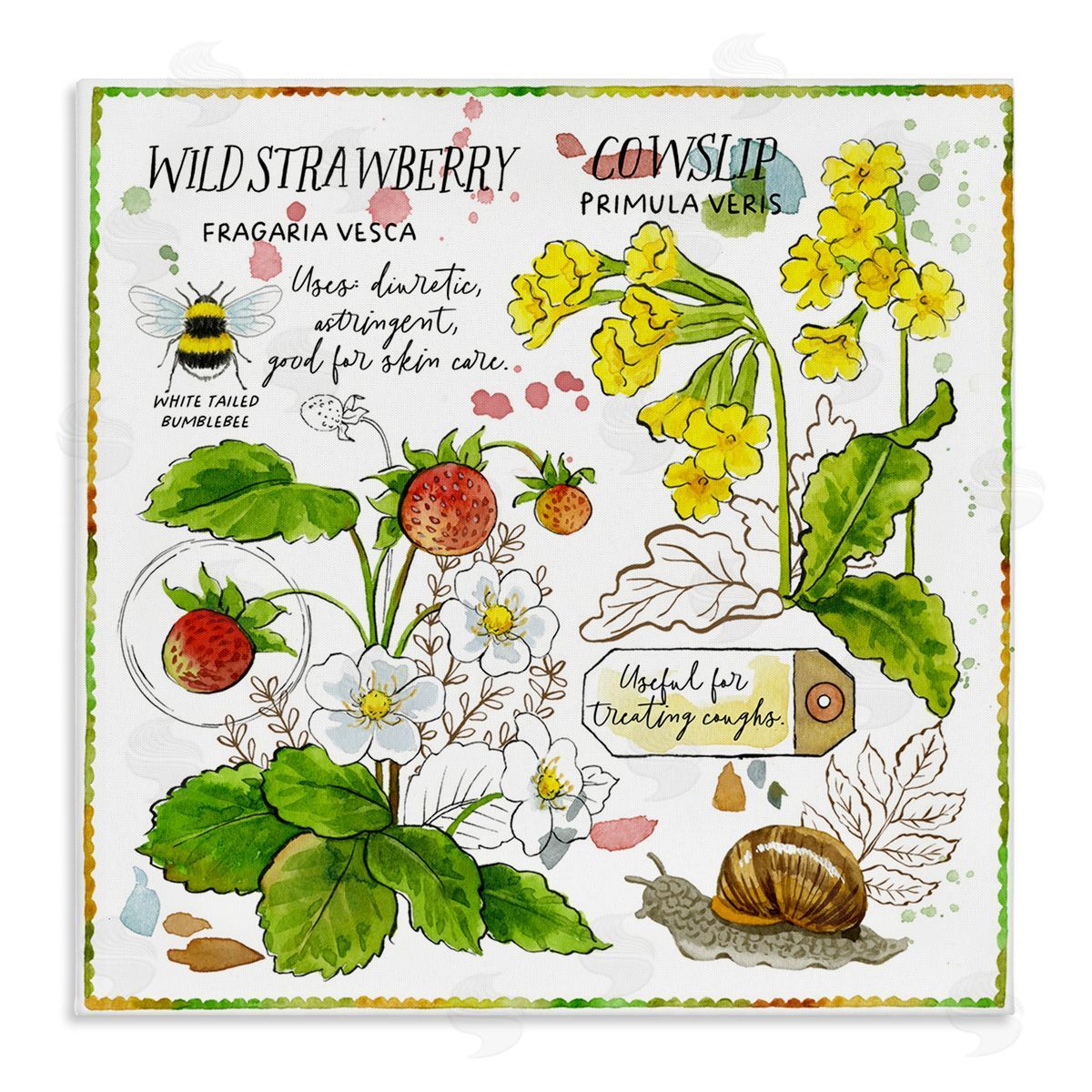 Jane Maday Strawberry & Florals Uses Canvas Wall Art Print
