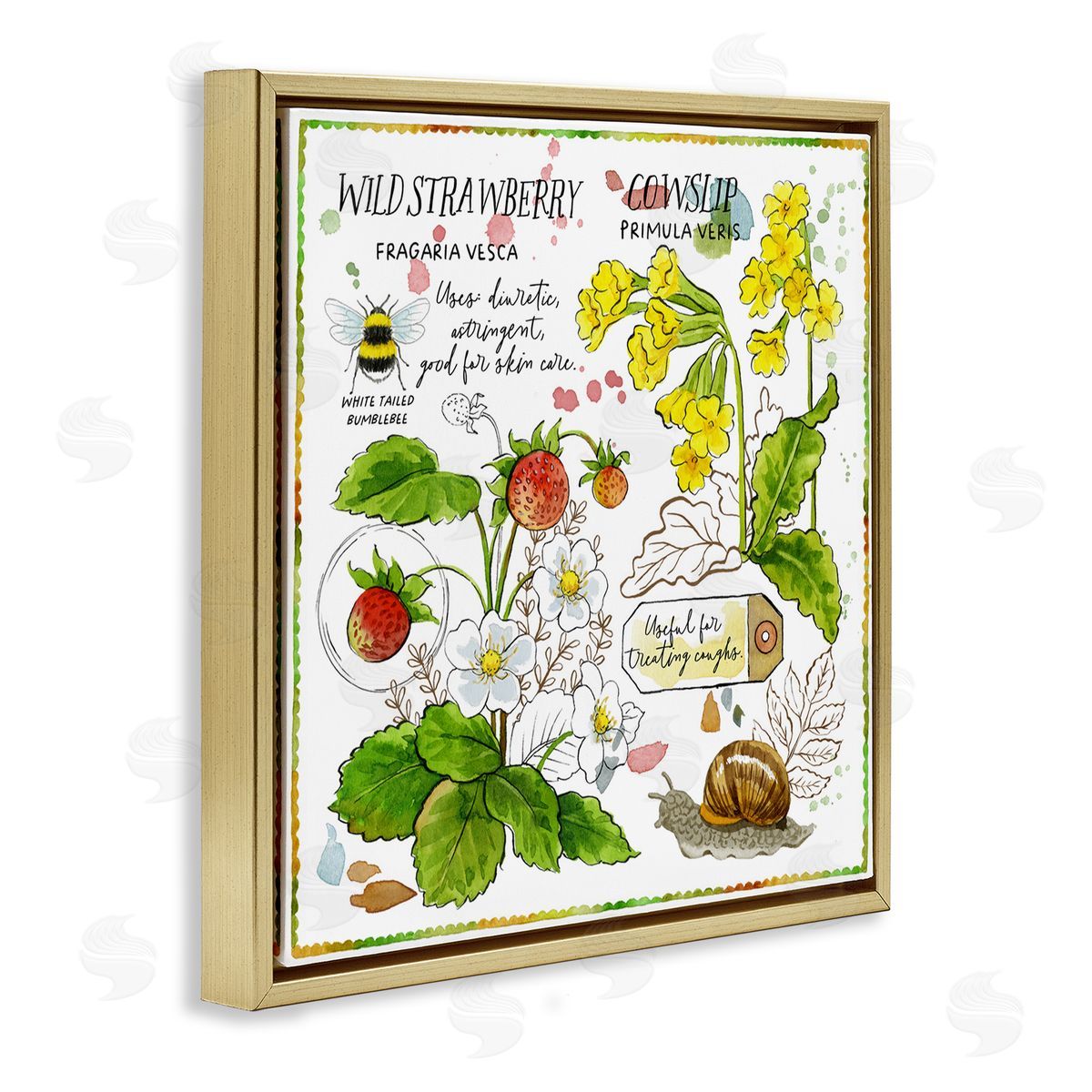 Jane Maday Strawberry & Florals Uses Gold Floating Frame Canvas Wall Art Print