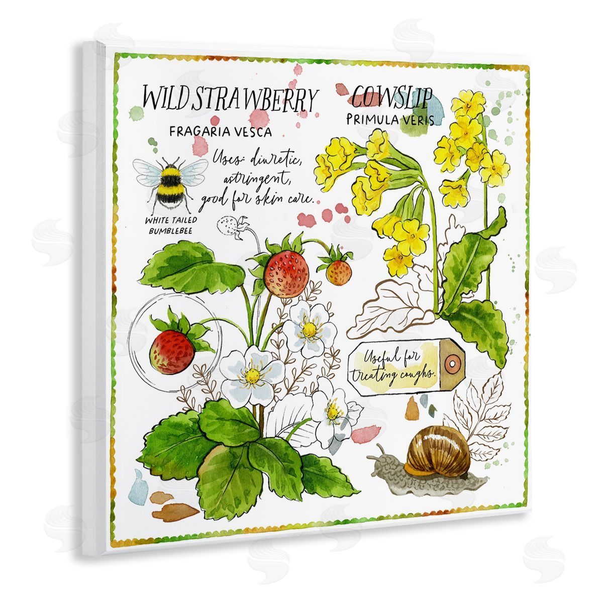 Jane Maday Strawberry & Florals Uses Wooden Wall Plaque Art Print