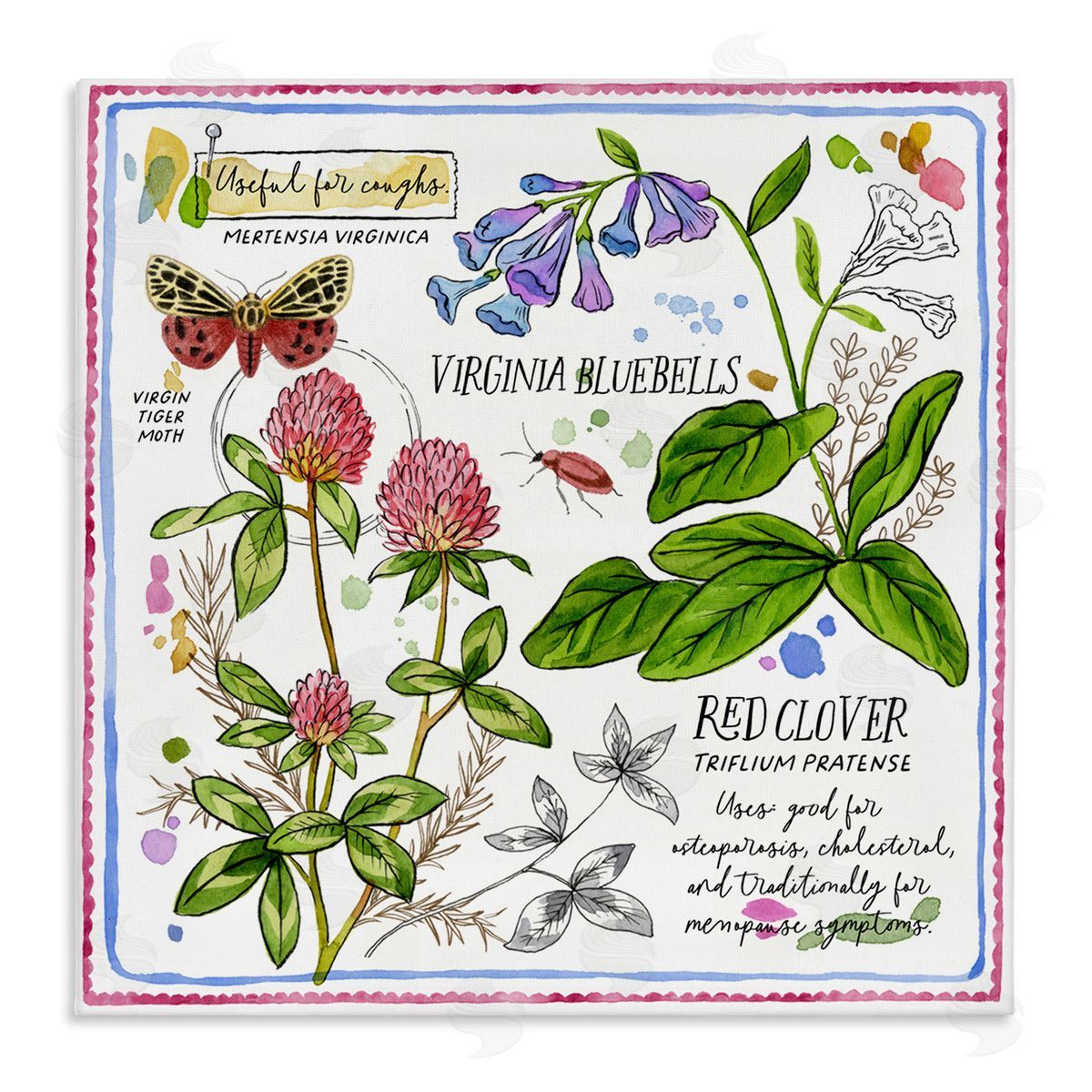 Jane Maday Wild Herbs Diagram Canvas Wall Art Print