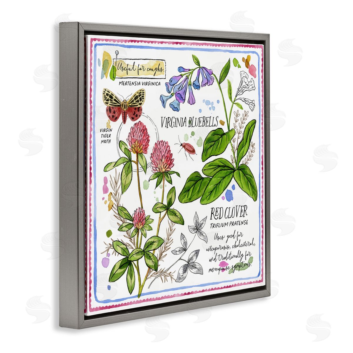 Jane Maday Wild Herbs Diagram Gray Floating Frame Canvas Wall Art Print