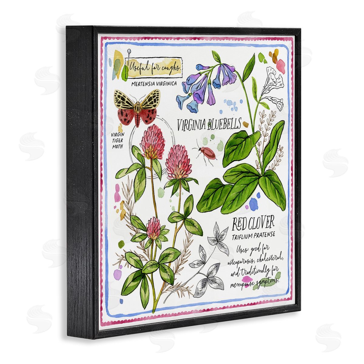 Jane Maday Wild Herbs Diagram Black Framed Giclee Wall Art Print