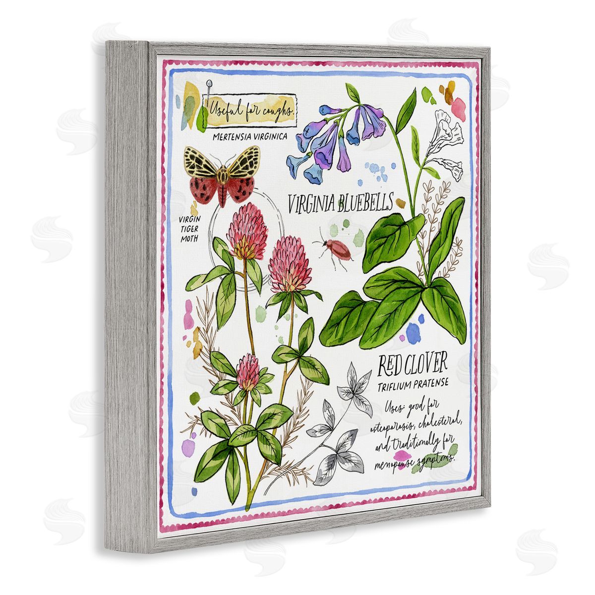 Jane Maday Wild Herbs Diagram Gray Framed Giclee Wall Art Print