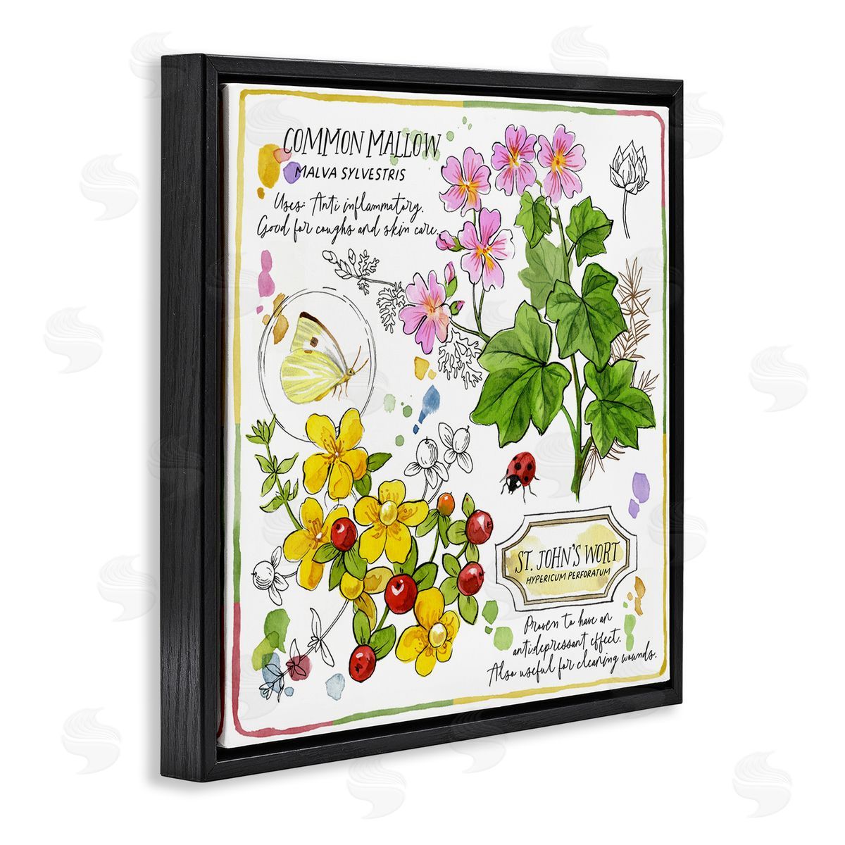 Jane Maday Wild Herbs Benefits Black Floating Frame Canvas Wall Art Print