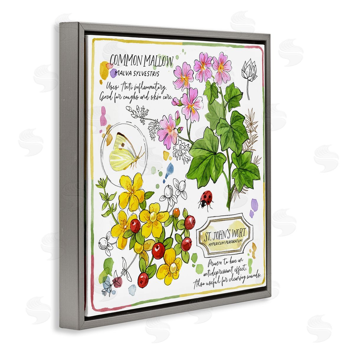 Jane Maday Wild Herbs Benefits Gray Floating Frame Canvas Wall Art Print
