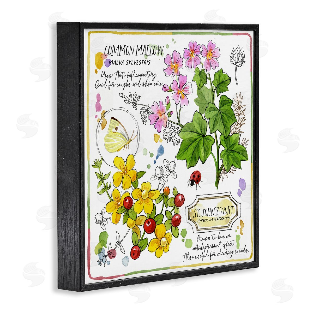 Jane Maday Wild Herbs Benefits Black Framed Giclee Wall Art Print