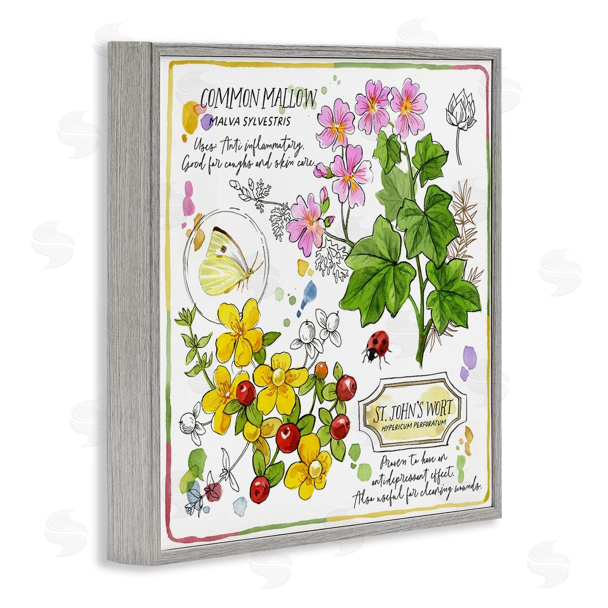 Jane Maday Wild Herbs Benefits Gray Framed Giclee Wall Art Print