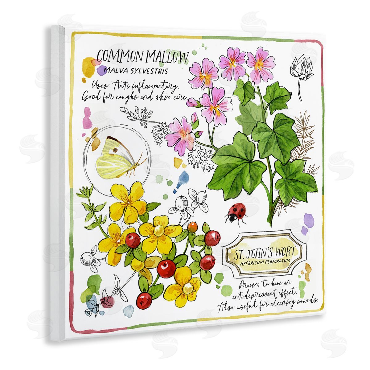 Jane Maday Wild Herbs Benefits Wooden Wall Plaque Art Print