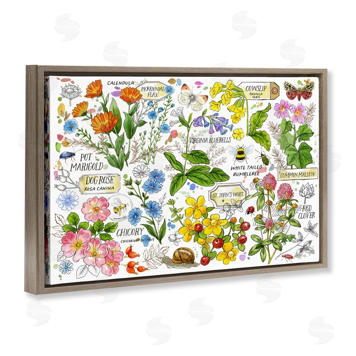 Various Herbs Benefits Brown Floating Frame Canvas Wall Art, Home Decor by Jane Maday