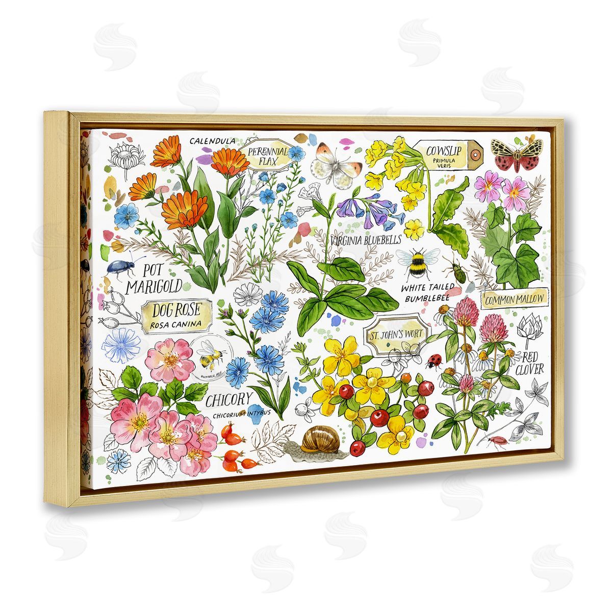Various Herbs Benefits Gold Floating Frame Canvas Wall Art, Home Decor by Jane Maday