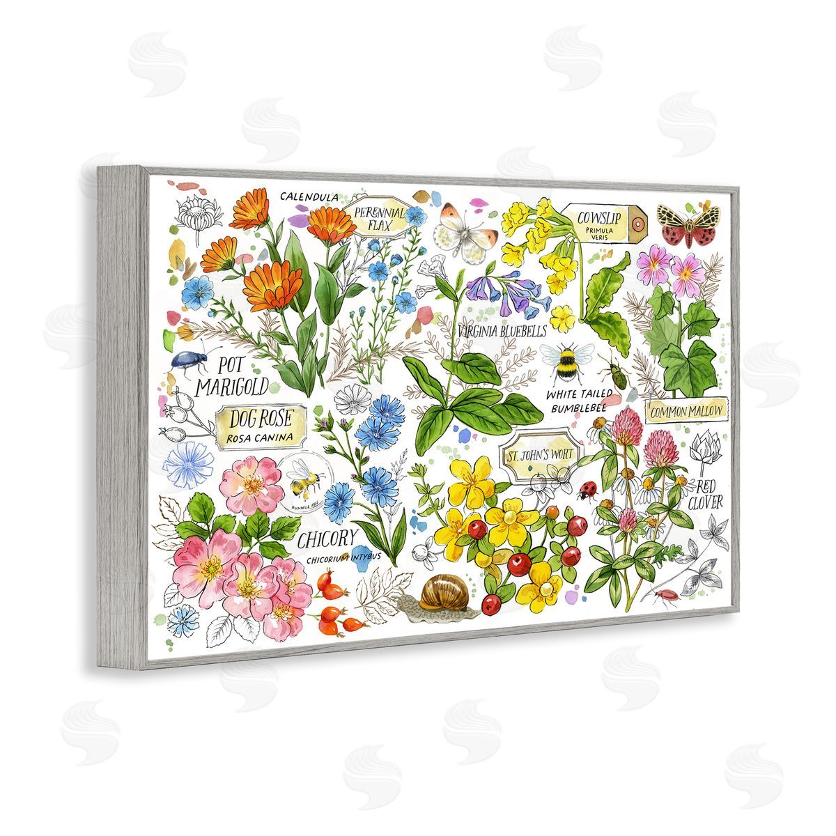 Various Herbs Benefits Grey Frame Print Wall Art, Home Decor by Jane Maday