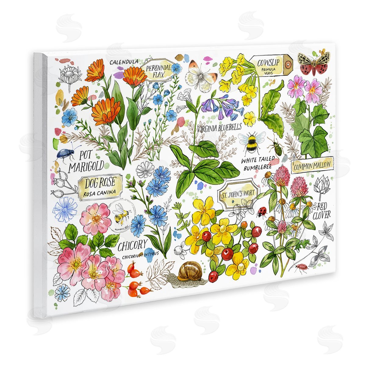 Various Herbs Benefits Wood Plaque Wall Art, Home Decor by Jane Maday